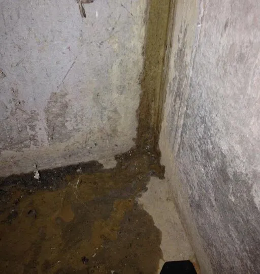 Water seeping into basement foundation