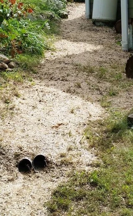 Double drainage pipes from gutter downspout drains